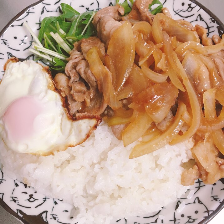 豚肉炒めと目玉焼きと水菜のプレート